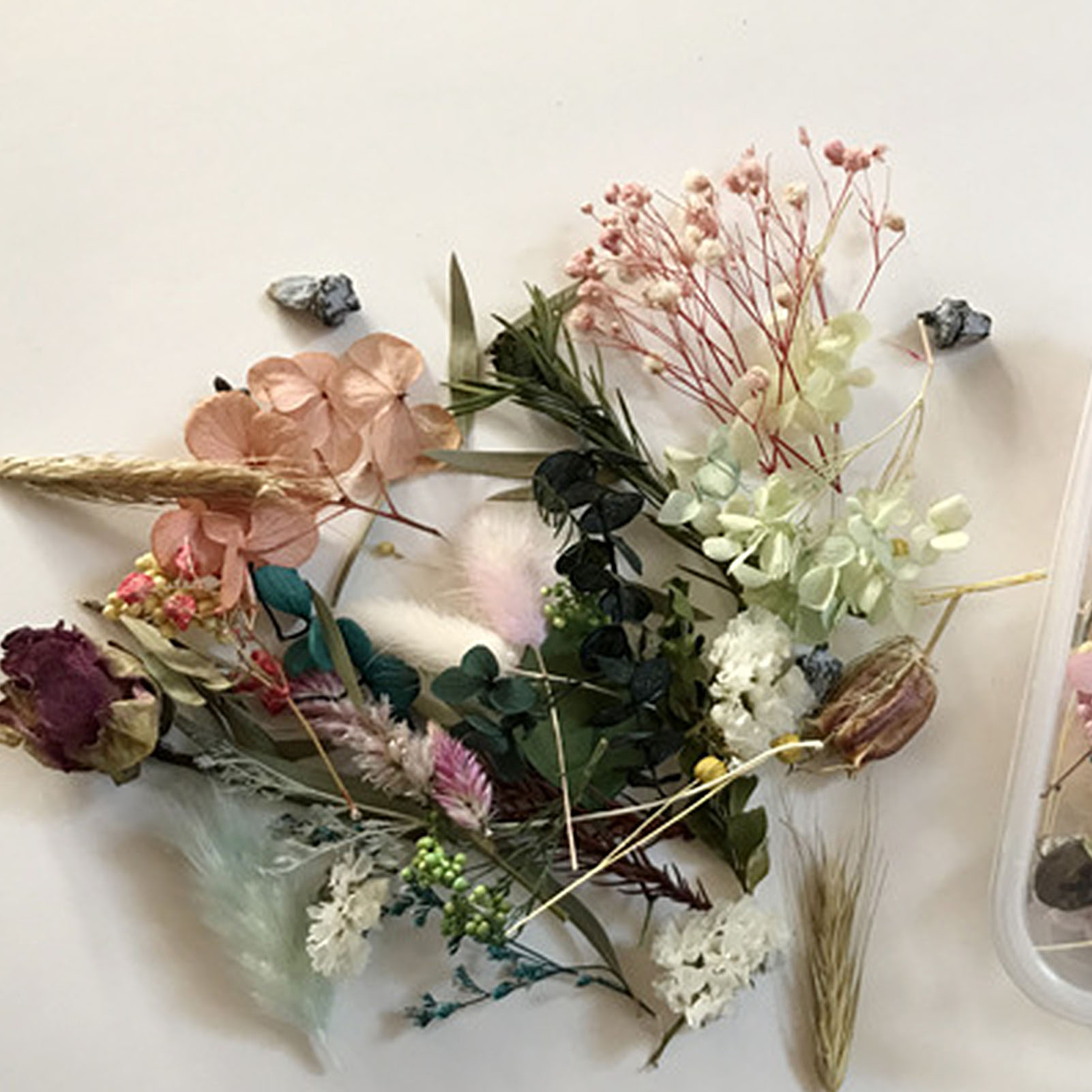 Sấy Khô Tự Nhiên Hoa Bộ Ép Tác - đánh giá và giá Candle Making Diy Kit