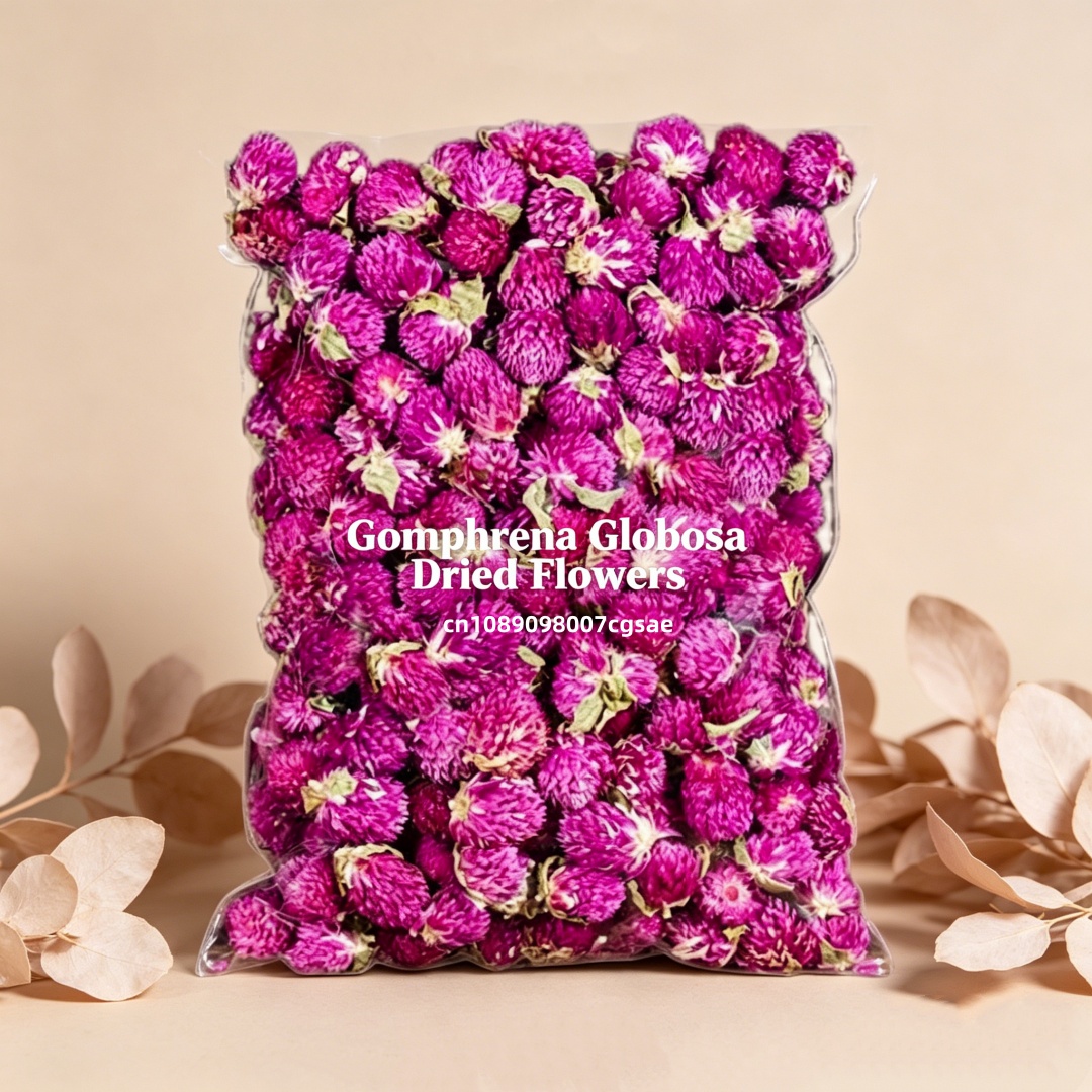 High-Quality Natural Gomphrena - đánh giá và giá Candle Making And Perfume